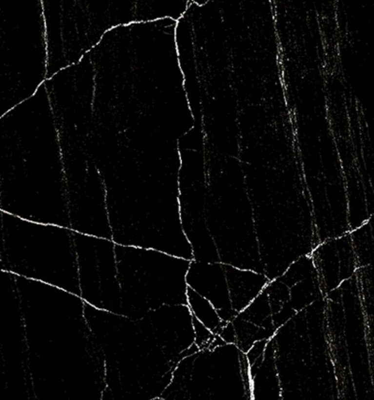 Nero Marquina